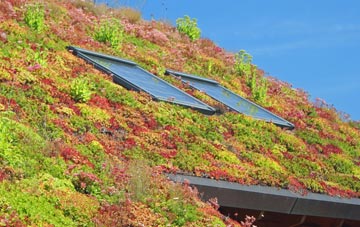Stoke Ferry living roof systems